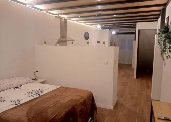 Estudios 71 Sardinero Rh - Apartment *